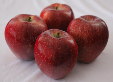 photo of Maharaej apples